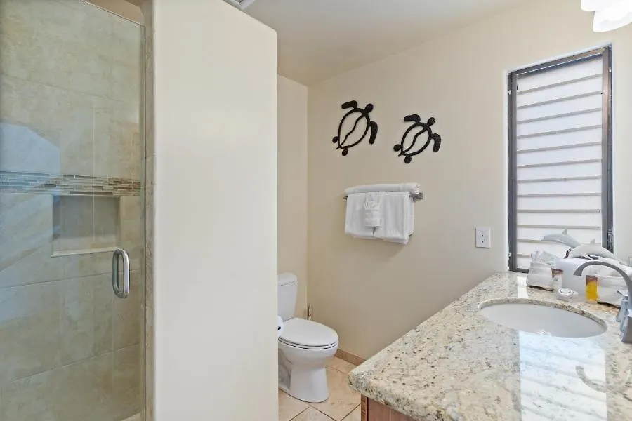 Apartment Wailea Ekahi, #19A Condo United States